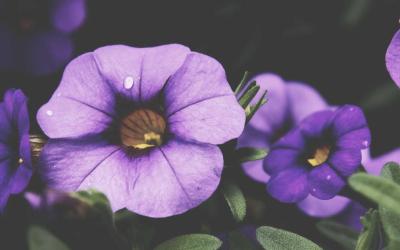 What to Expect on Your First Day of Treatment